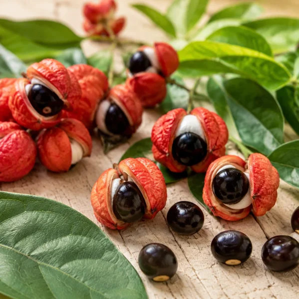 Guarana